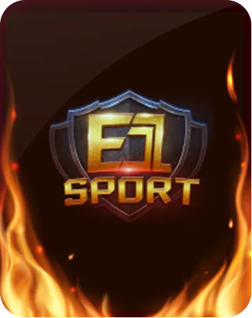 F1 SPORT